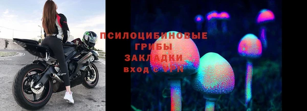 круглые Ладушкин