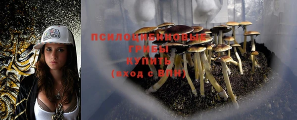 mix Армянск