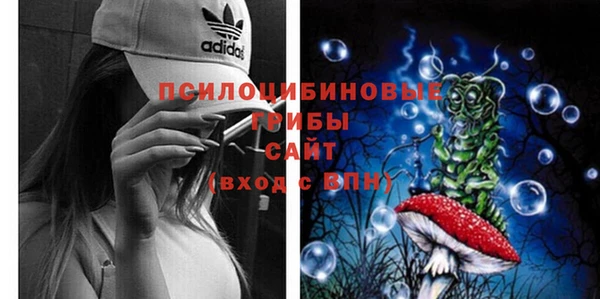 бутират Арсеньев