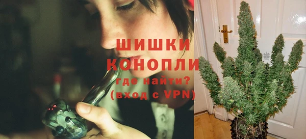 бошки Алексин
